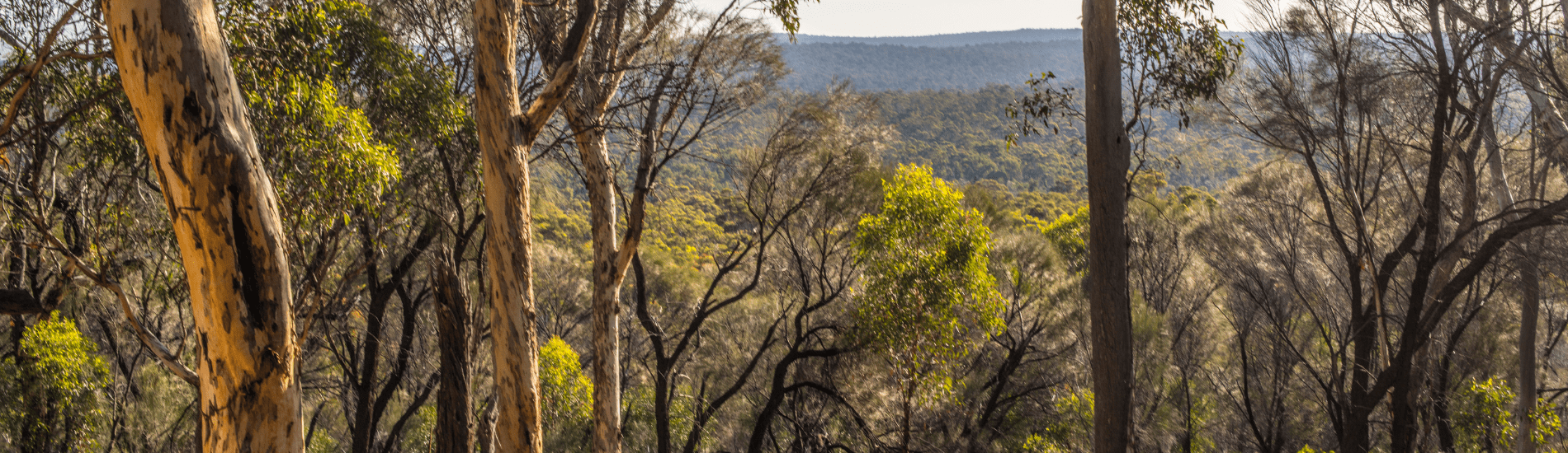 Forrestfield